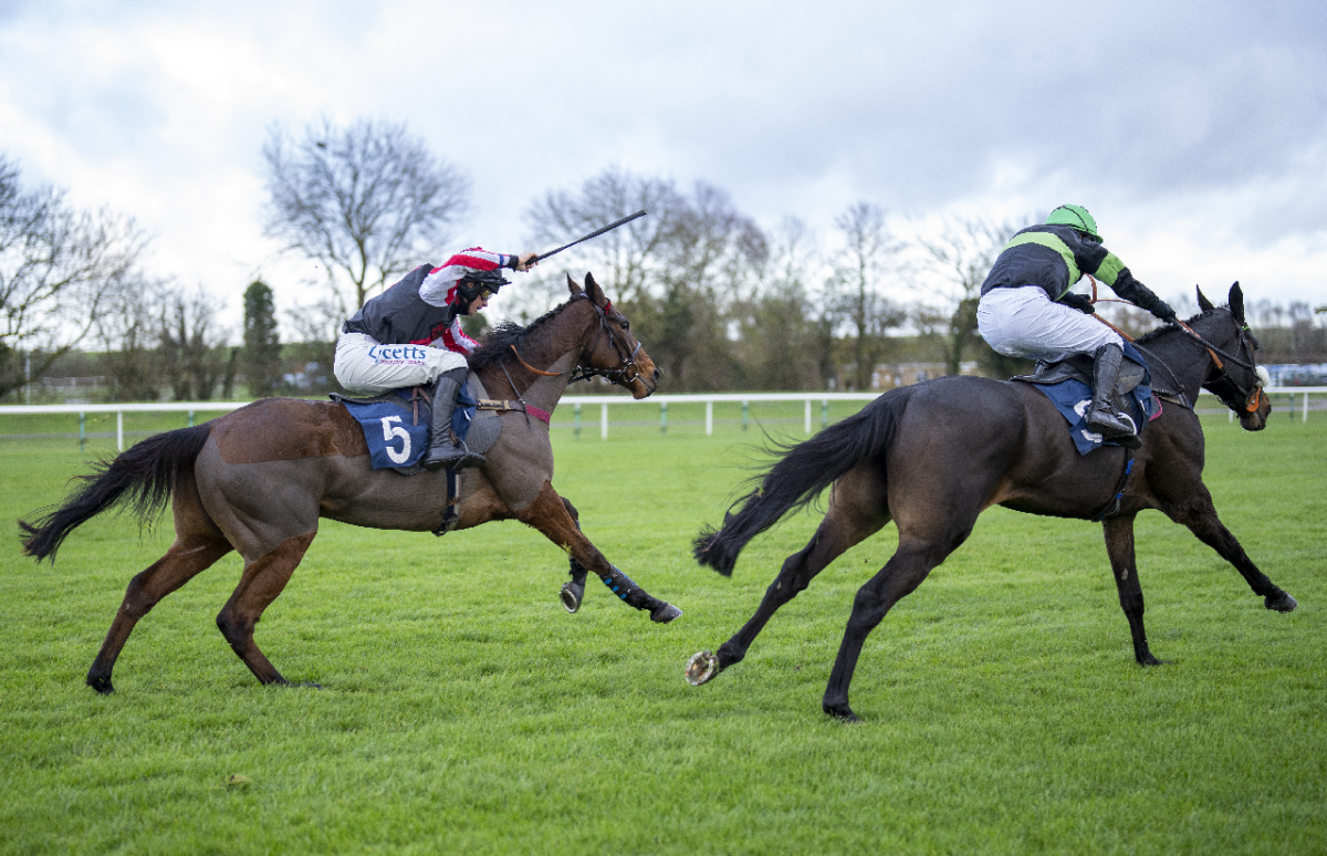 Cheltenham Festival Focus: 20/1 looks a good bet after New Years Day